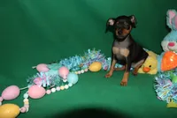 processed/cc945a2a-5e5c-45c6-87b8-5fa07309902c/listing/70b97ed2-917a-48e7-b247-6d30f5948c4c/ac609943-ec00-4ee5-b2f1-cb384cce4e0f