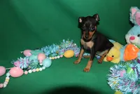 processed/cc945a2a-5e5c-45c6-87b8-5fa07309902c/listing/70b97ed2-917a-48e7-b247-6d30f5948c4c/c95c6755-1eac-4cb1-a941-dcf2729cef75