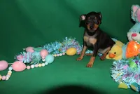 processed/cc945a2a-5e5c-45c6-87b8-5fa07309902c/listing/70b97ed2-917a-48e7-b247-6d30f5948c4c/d5588523-1fa9-4525-a54c-db8fb68f6dfa