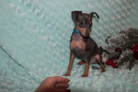 processed/cc945a2a-5e5c-45c6-87b8-5fa07309902c/listing/7e20fdd4-27c2-448d-bc2e-73912489da4d/15d34903-6a68-4223-a572-5b471f290bb5