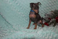 processed/cc945a2a-5e5c-45c6-87b8-5fa07309902c/listing/7e20fdd4-27c2-448d-bc2e-73912489da4d/1796af5e-3e1a-46e0-98a3-45c56594c0d3