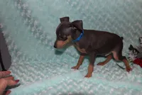 processed/cc945a2a-5e5c-45c6-87b8-5fa07309902c/listing/7e20fdd4-27c2-448d-bc2e-73912489da4d/b02dee13-455a-4716-8224-dcf8935a78ab