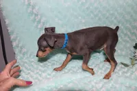 processed/cc945a2a-5e5c-45c6-87b8-5fa07309902c/listing/7e20fdd4-27c2-448d-bc2e-73912489da4d/eb8be6a3-f382-41e0-9c28-bebc3ca9bd1d