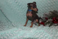 processed/cc945a2a-5e5c-45c6-87b8-5fa07309902c/listing/7e20fdd4-27c2-448d-bc2e-73912489da4d/fdce9e69-dce6-44ca-9a47-ba14ed897794