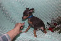 processed/cc945a2a-5e5c-45c6-87b8-5fa07309902c/listing/7e20fdd4-27c2-448d-bc2e-73912489da4d/fecab8d8-6e71-40e9-9962-9886a3044b9c