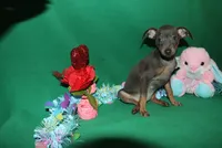 processed/cc945a2a-5e5c-45c6-87b8-5fa07309902c/listing/95eb60e7-65ab-4137-ad49-8efdf38f91a8/3835f5f5-c92b-48b1-855e-5842d0db4ff5