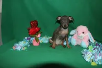 processed/cc945a2a-5e5c-45c6-87b8-5fa07309902c/listing/95eb60e7-65ab-4137-ad49-8efdf38f91a8/512a2bea-70ee-4935-9ce9-49309f7228d2