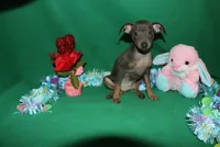 processed/cc945a2a-5e5c-45c6-87b8-5fa07309902c/listing/95eb60e7-65ab-4137-ad49-8efdf38f91a8/759d2d83-78ff-475d-8cf7-87c73a60f730