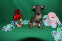 processed/cc945a2a-5e5c-45c6-87b8-5fa07309902c/listing/95eb60e7-65ab-4137-ad49-8efdf38f91a8/ab71d39f-26a7-441c-892b-ba31bffd1500