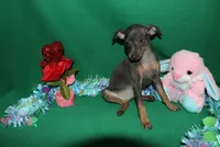 processed/cc945a2a-5e5c-45c6-87b8-5fa07309902c/listing/95eb60e7-65ab-4137-ad49-8efdf38f91a8/df115296-2543-4fc8-8235-7394ec6a3c21