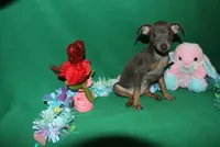 processed/cc945a2a-5e5c-45c6-87b8-5fa07309902c/listing/95eb60e7-65ab-4137-ad49-8efdf38f91a8/f5011bcc-811f-4341-923e-59d80400e321