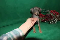 processed/cc945a2a-5e5c-45c6-87b8-5fa07309902c/listing/98259892-f3b9-4075-9722-4fb65d34447b/0348a277-9c4d-4006-86db-ac93335cae2d