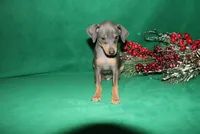 processed/cc945a2a-5e5c-45c6-87b8-5fa07309902c/listing/98259892-f3b9-4075-9722-4fb65d34447b/34d9ccaf-6ce3-4395-9bf3-c6963bd55656