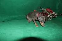 processed/cc945a2a-5e5c-45c6-87b8-5fa07309902c/listing/98259892-f3b9-4075-9722-4fb65d34447b/3ad37628-f1fe-4fb2-88cc-cb1b2cd44bcd