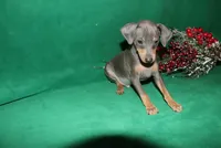 processed/cc945a2a-5e5c-45c6-87b8-5fa07309902c/listing/98259892-f3b9-4075-9722-4fb65d34447b/68db359f-4148-44c1-ba31-1cdd54541a7b