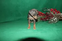 processed/cc945a2a-5e5c-45c6-87b8-5fa07309902c/listing/98259892-f3b9-4075-9722-4fb65d34447b/a5c004f5-a3b0-4e8d-bc62-737d21f513f6