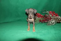 processed/cc945a2a-5e5c-45c6-87b8-5fa07309902c/listing/98259892-f3b9-4075-9722-4fb65d34447b/c66e06dd-5408-47ea-b5b6-829c45e57e8b