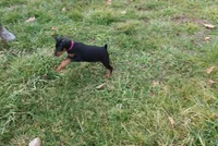 processed/cc945a2a-5e5c-45c6-87b8-5fa07309902c/listing/9a31789c-efbb-46af-a719-fd6a39ab7e70/1b139608-eb0d-4b09-b021-8530685ff962