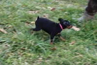 processed/cc945a2a-5e5c-45c6-87b8-5fa07309902c/listing/9a31789c-efbb-46af-a719-fd6a39ab7e70/2bf7722b-cc04-4513-9e08-046b648d387f