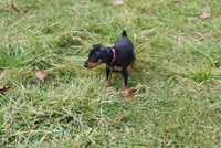 processed/cc945a2a-5e5c-45c6-87b8-5fa07309902c/listing/9a31789c-efbb-46af-a719-fd6a39ab7e70/42509f91-1ee2-4bca-a257-e082669cb682