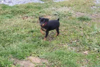 processed/cc945a2a-5e5c-45c6-87b8-5fa07309902c/listing/9a31789c-efbb-46af-a719-fd6a39ab7e70/5f234f04-ed7f-467e-9c4b-2b03da85f595