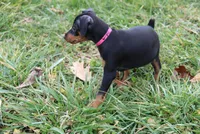 processed/cc945a2a-5e5c-45c6-87b8-5fa07309902c/listing/9a31789c-efbb-46af-a719-fd6a39ab7e70/7279b6f9-5a78-4185-8140-2a4d77a3c405