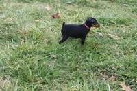 processed/cc945a2a-5e5c-45c6-87b8-5fa07309902c/listing/9a31789c-efbb-46af-a719-fd6a39ab7e70/d6604b8a-ddd8-465e-a6e5-0c6101894eb4