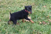 processed/cc945a2a-5e5c-45c6-87b8-5fa07309902c/listing/9a31789c-efbb-46af-a719-fd6a39ab7e70/e00ae4ec-dcec-4f29-8198-facd22edf9e2