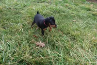 processed/cc945a2a-5e5c-45c6-87b8-5fa07309902c/listing/9a31789c-efbb-46af-a719-fd6a39ab7e70/f0337158-46bc-4dbc-8008-4943ca46d9a9