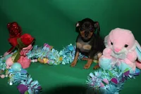 processed/cc945a2a-5e5c-45c6-87b8-5fa07309902c/listing/b3ee8458-e1ab-49c4-ad13-5137ea593205/199c598a-d727-45f8-999d-85e949c14247