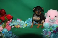 processed/cc945a2a-5e5c-45c6-87b8-5fa07309902c/listing/b3ee8458-e1ab-49c4-ad13-5137ea593205/264cc8f2-98b3-4271-8487-21579fb3e6e0