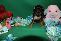 processed/cc945a2a-5e5c-45c6-87b8-5fa07309902c/listing/b3ee8458-e1ab-49c4-ad13-5137ea593205/317c3483-c555-482a-a216-8c1edef00183