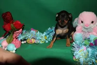 processed/cc945a2a-5e5c-45c6-87b8-5fa07309902c/listing/b3ee8458-e1ab-49c4-ad13-5137ea593205/a6419c9e-6279-44fd-92ac-d075b83f8757