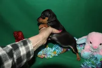 processed/cc945a2a-5e5c-45c6-87b8-5fa07309902c/listing/b3ee8458-e1ab-49c4-ad13-5137ea593205/bc564ac4-8415-49db-8e06-f87308042ee9