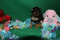 processed/cc945a2a-5e5c-45c6-87b8-5fa07309902c/listing/b3ee8458-e1ab-49c4-ad13-5137ea593205/d3661d0f-b738-4475-a214-5ad3005333aa