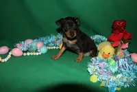 processed/cc945a2a-5e5c-45c6-87b8-5fa07309902c/listing/d380ed15-2fcb-4776-8648-c201c6f95fd2/2014502a-9e8d-4470-a246-f1d8b1820e19