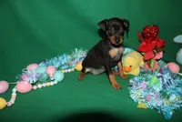 processed/cc945a2a-5e5c-45c6-87b8-5fa07309902c/listing/d380ed15-2fcb-4776-8648-c201c6f95fd2/369ccba4-473c-455d-8a1a-f1d145fb50e2