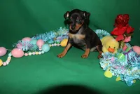 processed/cc945a2a-5e5c-45c6-87b8-5fa07309902c/listing/d380ed15-2fcb-4776-8648-c201c6f95fd2/768e07f2-a1dd-45f9-bd1c-45f805162397