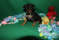 processed/cc945a2a-5e5c-45c6-87b8-5fa07309902c/listing/d380ed15-2fcb-4776-8648-c201c6f95fd2/7ffaac3f-d1a0-474c-a909-0f63eec0b78a