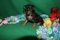 processed/cc945a2a-5e5c-45c6-87b8-5fa07309902c/listing/d380ed15-2fcb-4776-8648-c201c6f95fd2/8c5731ec-a7d3-4946-8a02-c265c06fe5d0