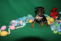 processed/cc945a2a-5e5c-45c6-87b8-5fa07309902c/listing/d380ed15-2fcb-4776-8648-c201c6f95fd2/d58ef509-0d02-4860-aacd-a663a7dcd6bd