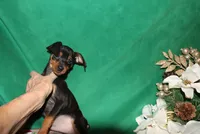 processed/cc945a2a-5e5c-45c6-87b8-5fa07309902c/listing/f1ed50cc-4a0d-49fb-a213-e53871c87b89/03d6eccd-a165-42ee-a967-98bca2e167fe