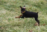 processed/cc945a2a-5e5c-45c6-87b8-5fa07309902c/listing/f1ed50cc-4a0d-49fb-a213-e53871c87b89/449d08ac-3e7a-4447-9691-99764128680c