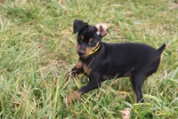 processed/cc945a2a-5e5c-45c6-87b8-5fa07309902c/listing/f1ed50cc-4a0d-49fb-a213-e53871c87b89/4d216267-1c77-48dc-a93e-b180299e8ff6