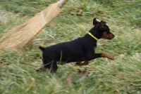 processed/cc945a2a-5e5c-45c6-87b8-5fa07309902c/listing/f1ed50cc-4a0d-49fb-a213-e53871c87b89/65d7ba19-b411-4f9a-b88e-e9d8188269eb