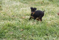 processed/cc945a2a-5e5c-45c6-87b8-5fa07309902c/listing/f1ed50cc-4a0d-49fb-a213-e53871c87b89/6c8c0835-799b-4cc0-bd42-7a48e3a19a5a