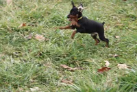 processed/cc945a2a-5e5c-45c6-87b8-5fa07309902c/listing/f1ed50cc-4a0d-49fb-a213-e53871c87b89/6cf3350b-acf9-4415-b0db-33c9464d4b4a