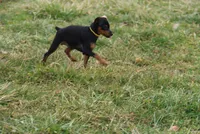 processed/cc945a2a-5e5c-45c6-87b8-5fa07309902c/listing/f1ed50cc-4a0d-49fb-a213-e53871c87b89/81a650d3-3309-4096-b59b-95f153fa180c