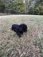 processed/cc99868b-922c-4bd5-bfa3-51b9a12c44ab/facility/3c8c32fd-0a6c-4e67-9515-0234cbe9eb24