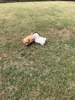 processed/cc99868b-922c-4bd5-bfa3-51b9a12c44ab/facility/c308d2b0-d0a0-40d7-8843-c313aa7edfee